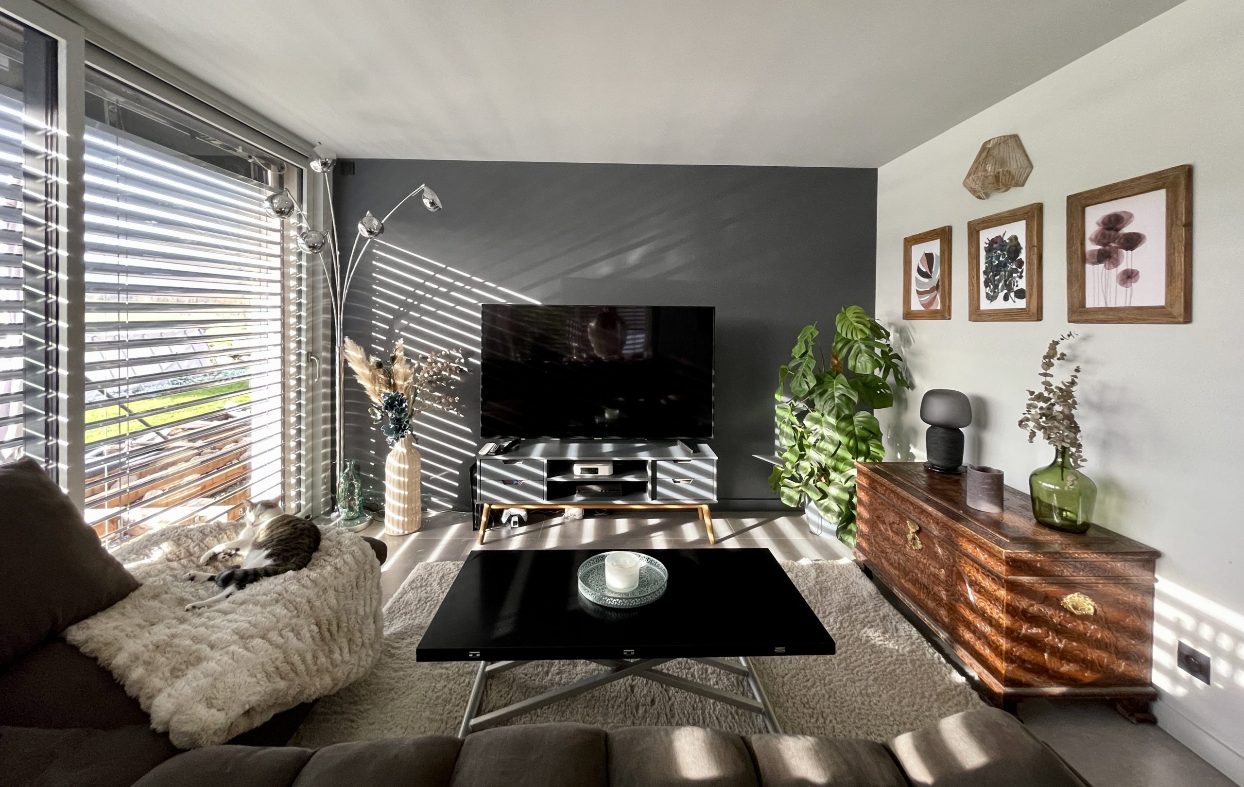 Appartement Aloona Design