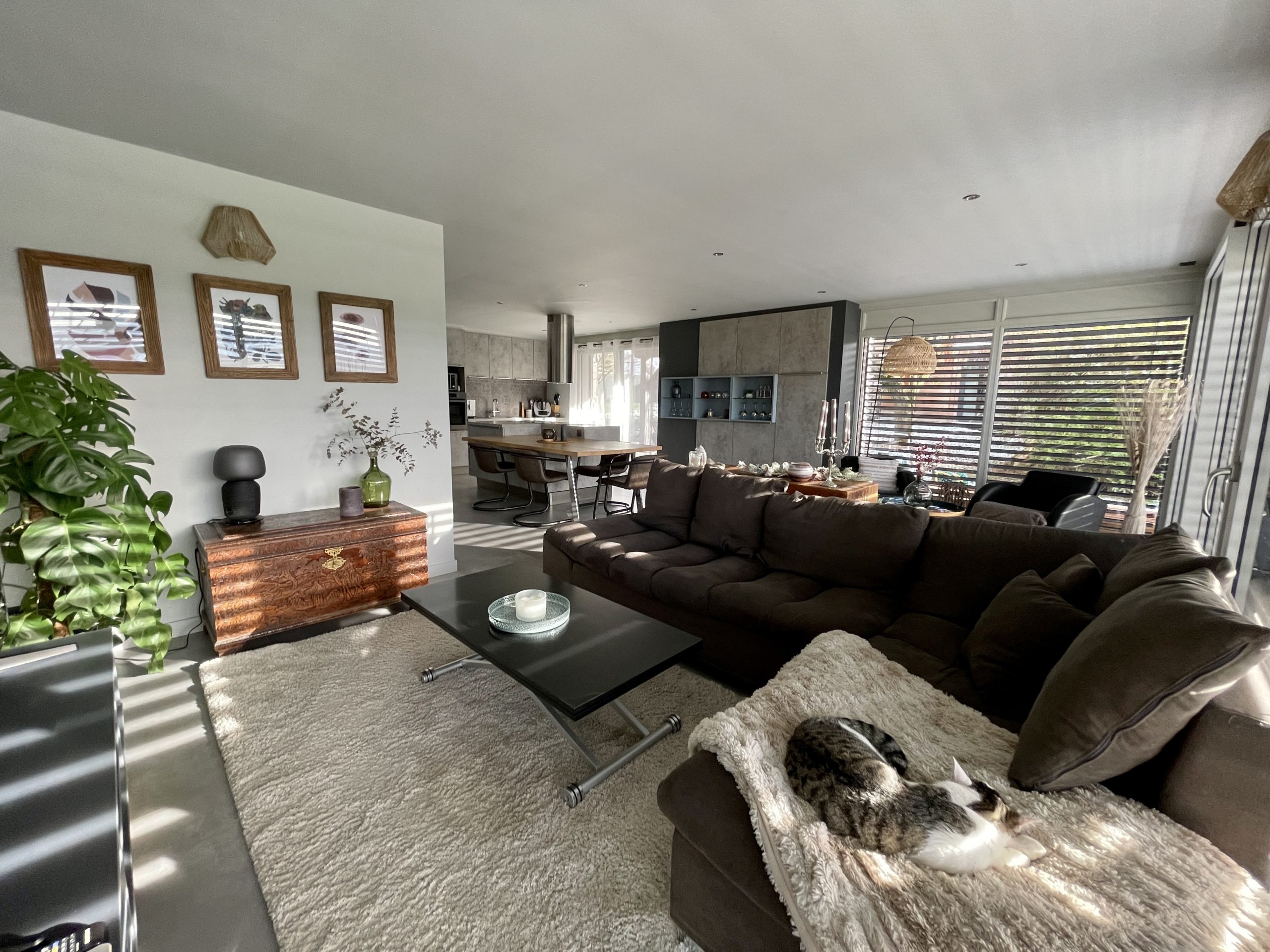 Appartement Aloona Design